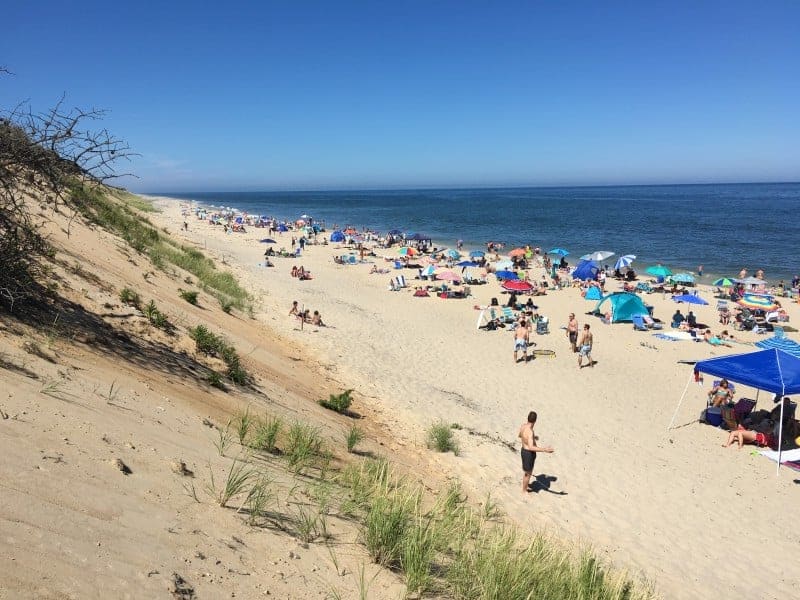 sand dunes leading to a crowded beach of sunbathers.