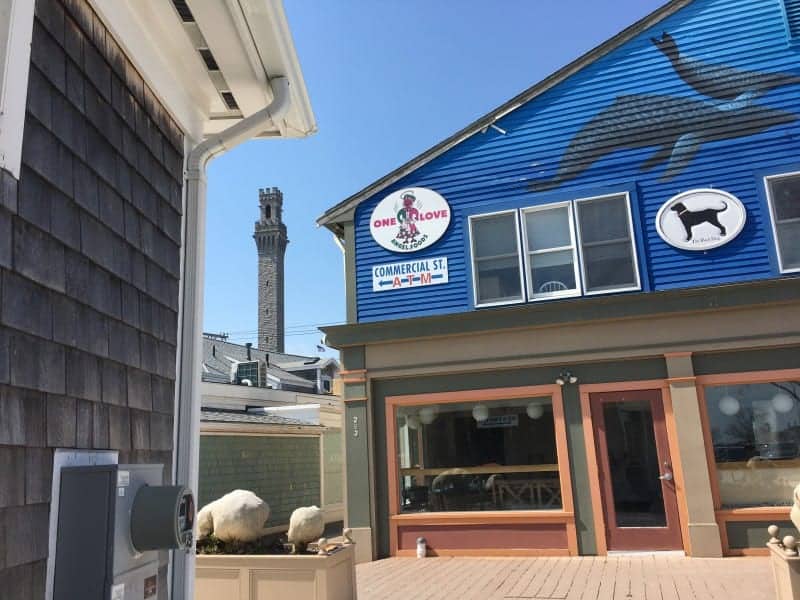 one of the shops in Provincetown. Building has a blue second story with whales painted on it.