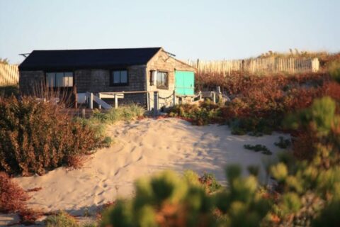 an old dune shack nestled in the dunes on cape cod