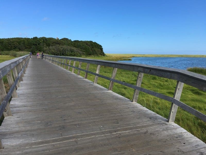 a wooden bridge leads to a tree covered island