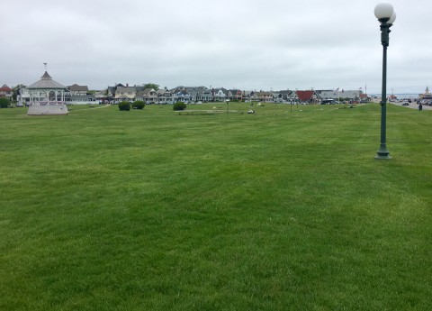 The green grassy area of Ocean Park surrounded by colorful houses