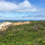 Day Trip to Martha's Vineyard