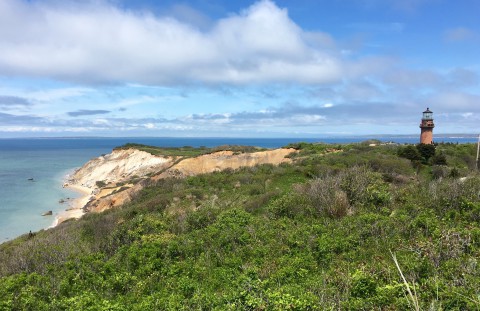 vegetation covered cliffs leading down to the ocean.  A lighthouse is off to the right