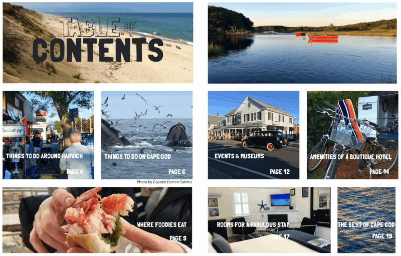 Cape Cod Travel Guide