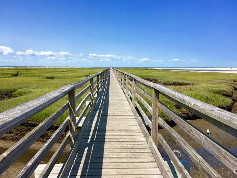 Photo of the boardwalk at Gray's Beach surrounded by the green marshes and a blue sky