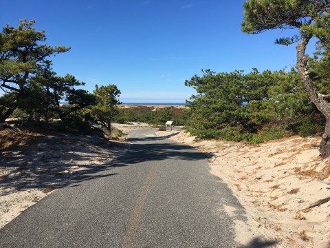 a paved bike path through the dunes of Provincetown