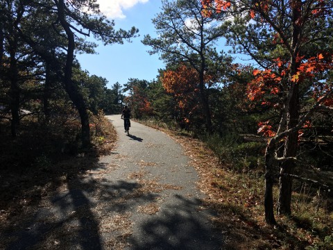 a person biking along the paved bike path through the woods