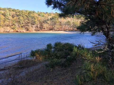 a kettle pond swimming area surrounded by trees