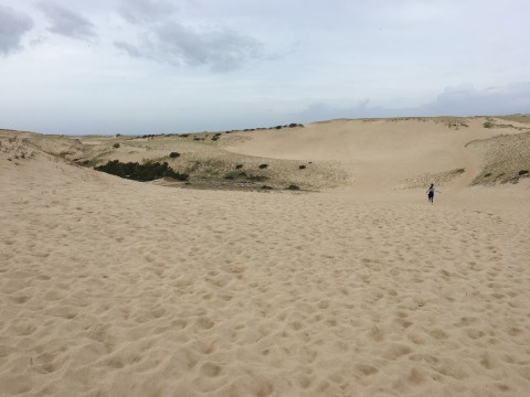 sandy dunes