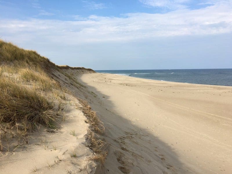 Things to do in Provincetown