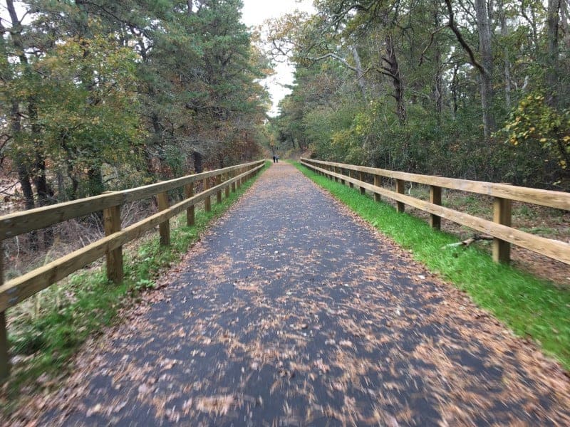 a view of the cape cod rail trail with a wooden fence on each side and the forest beyond the fence