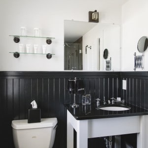 bathroom with white walls and black painted wainscoting