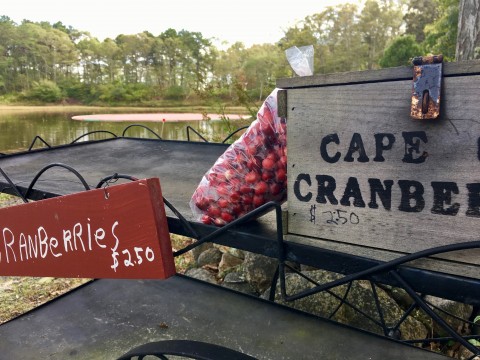 A black metal cart with bags of red cranberries