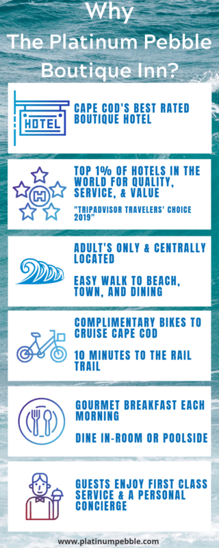 Cape Cod Travel Guide