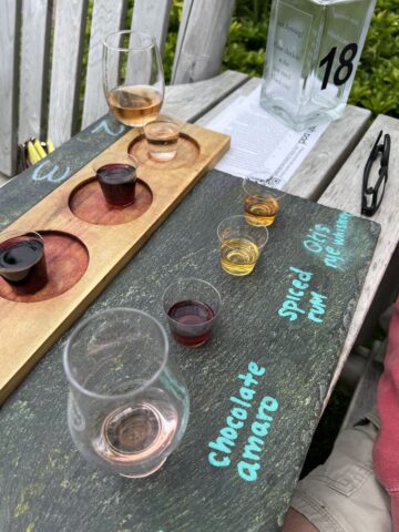 small glasses with samples of wine and spirits