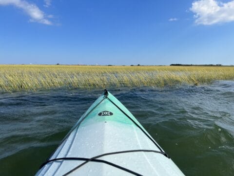 the front of a kayak in the ocean looking at sea grass