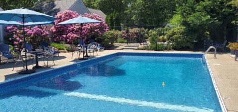 sparkling blue pool surrounded by rhododendroms and tables with umbrellas