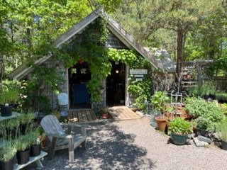 A quanit shack that is the gift shop at the Cape Cod Lavender Farm
