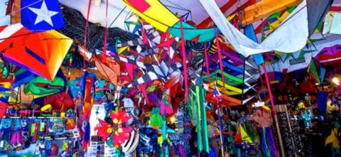 inside a store carrying many brightly colored kites