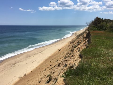 a photo of the beach and the ocean. A blue sky with white and grey clouds.  Green beach grass covers the top of a sandy dune.