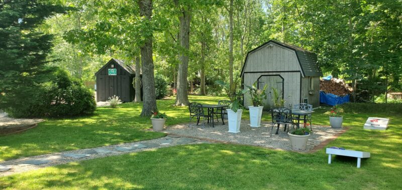 Garden area with shed and shrubs