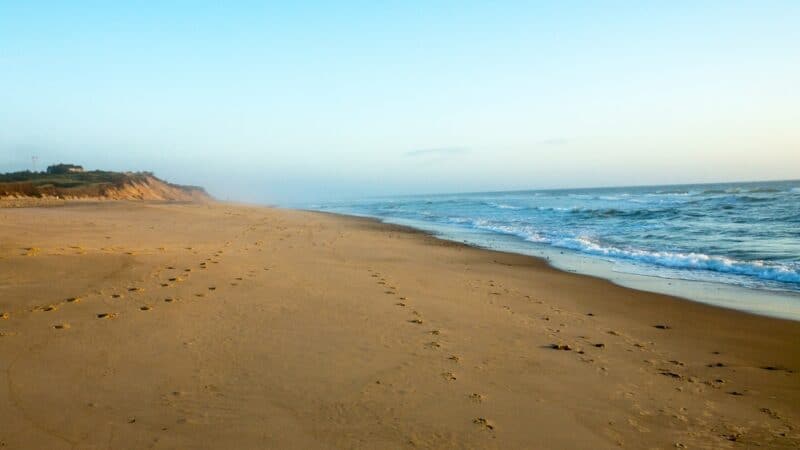 Coast Guard Beach - learn the best time to visit Cape Cod